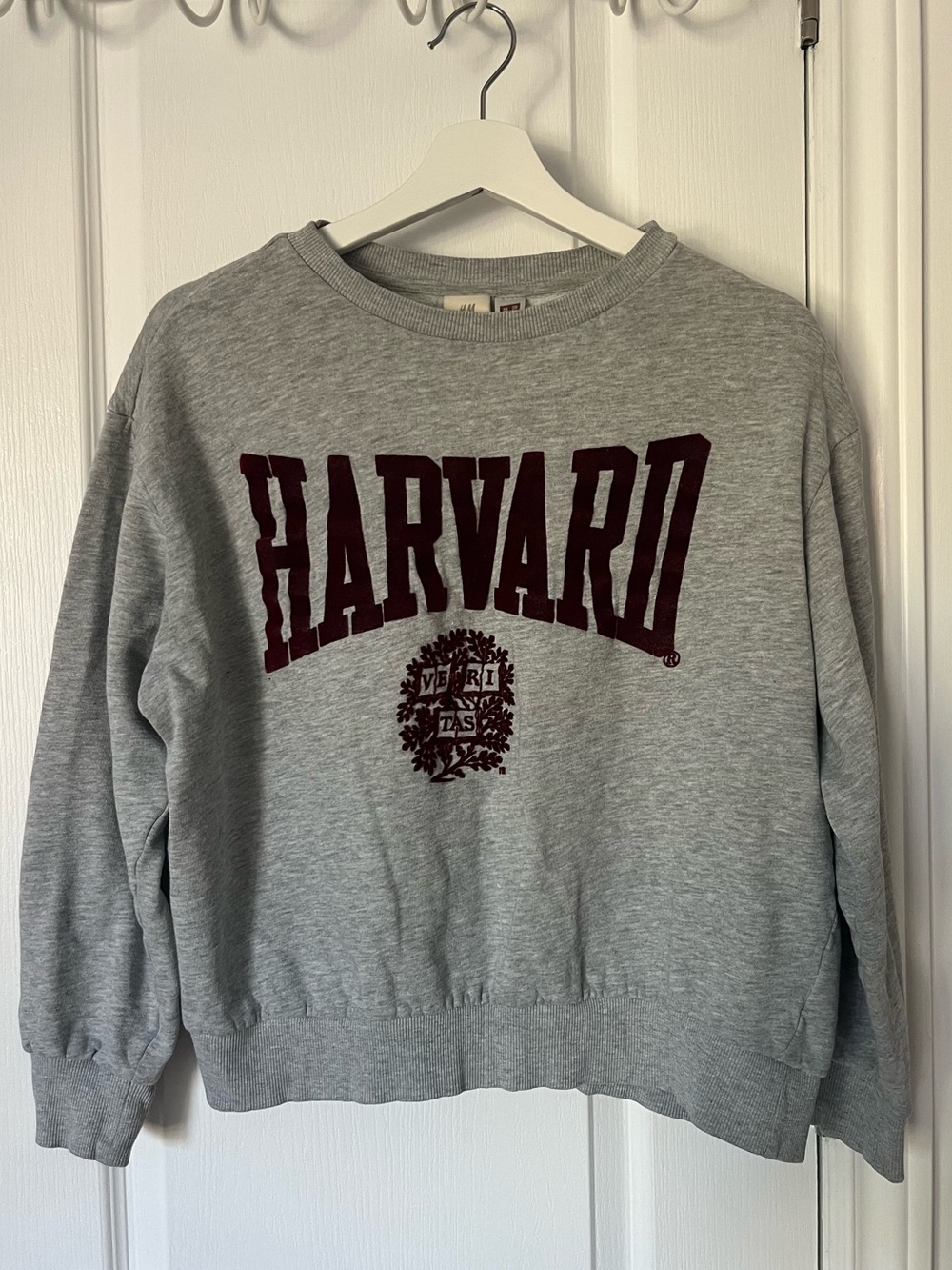 H&M Light Gray Cropped Crewneck Sweatshirt with Harvard in Red Velvet